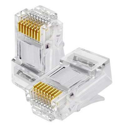 Terminal Conector RJ45